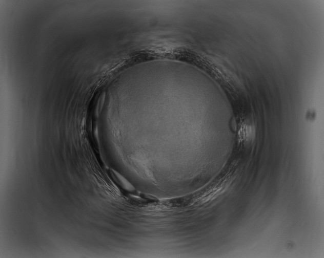 X0000100761156200806191201