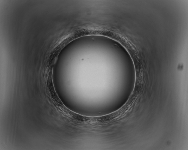 X0000100761157200806191201