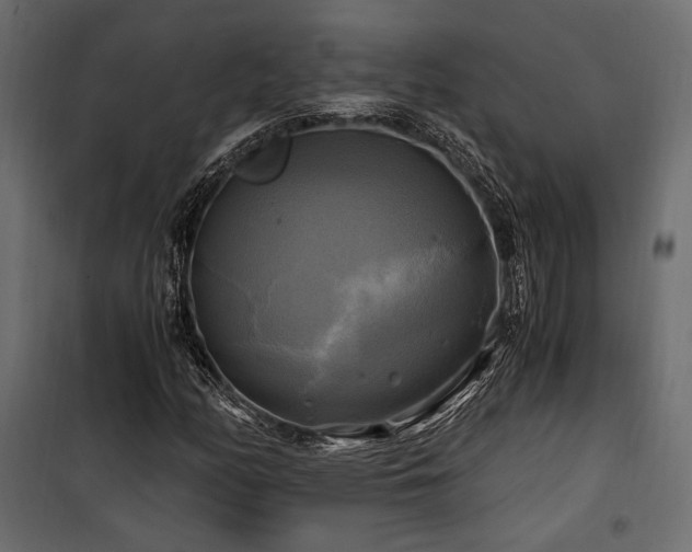 X0000100761158200806191201