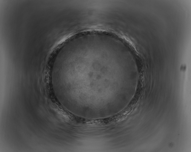 X0000100761159200806191201