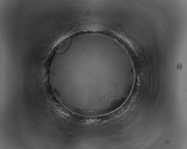 X0000100761160200806191201