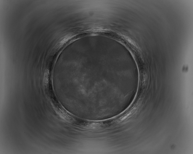 X0000100761161200806191200