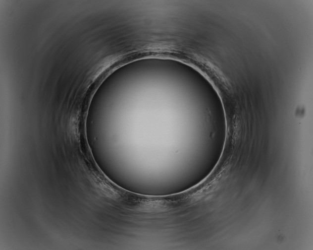 X0000100761162200806191200