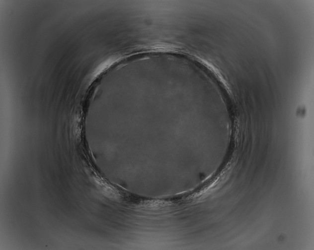 X0000100761163200806191200