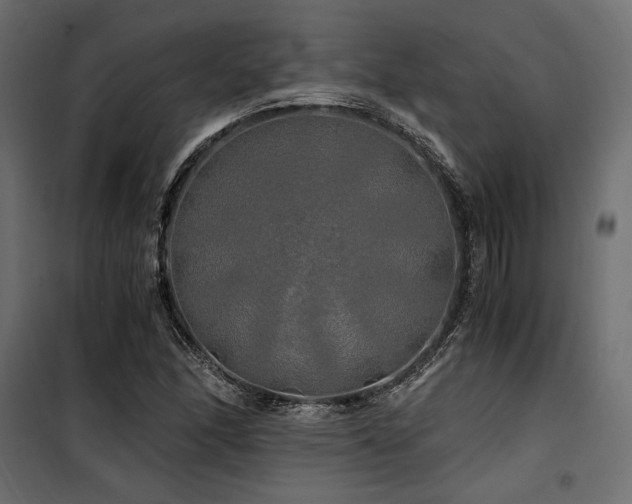 X0000100761166200806191200