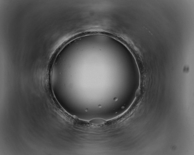 X0000100761167200806191200