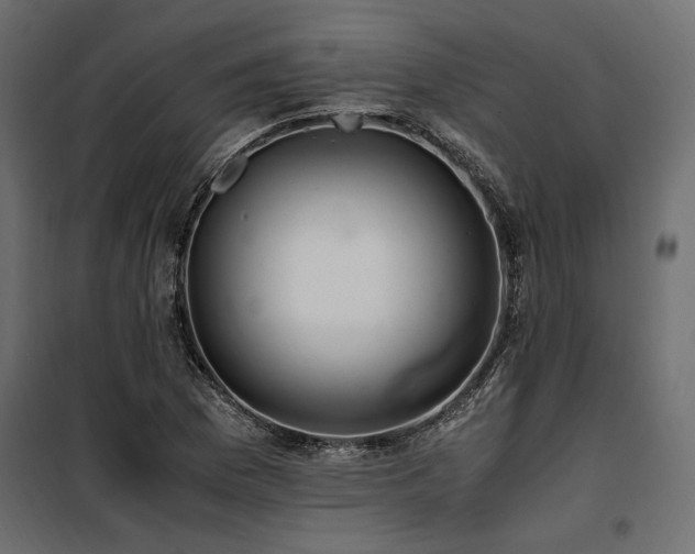 X0000100761169200806191200