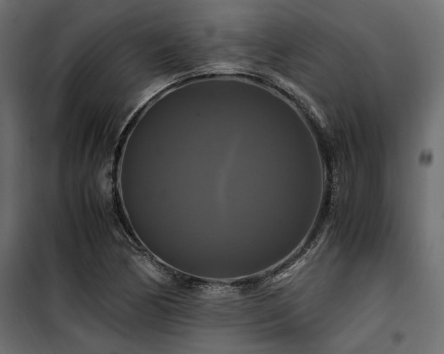 X0000100761170200806191200