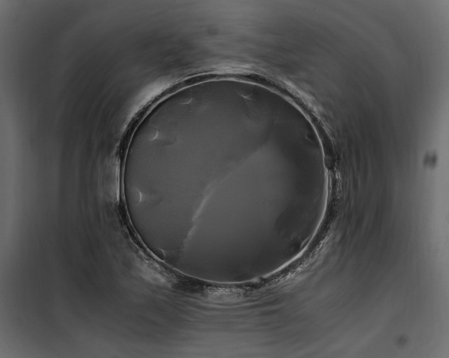 X0000100761171200806191200