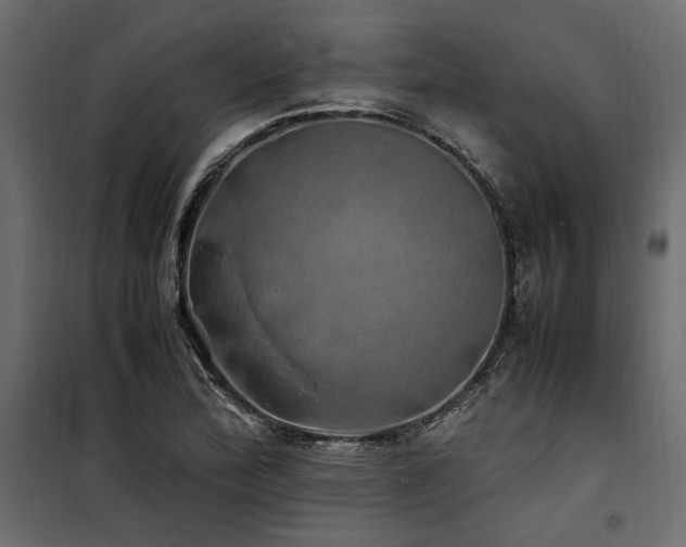 X0000100761172200806191200