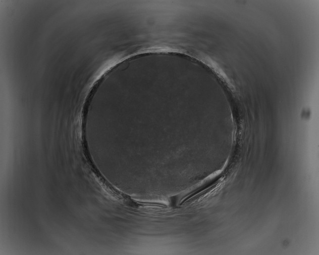 X0000100761173200806191200