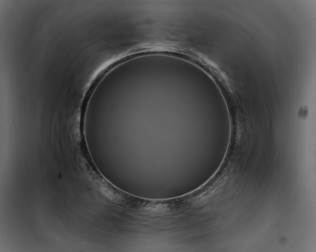 X0000100761174200806191200