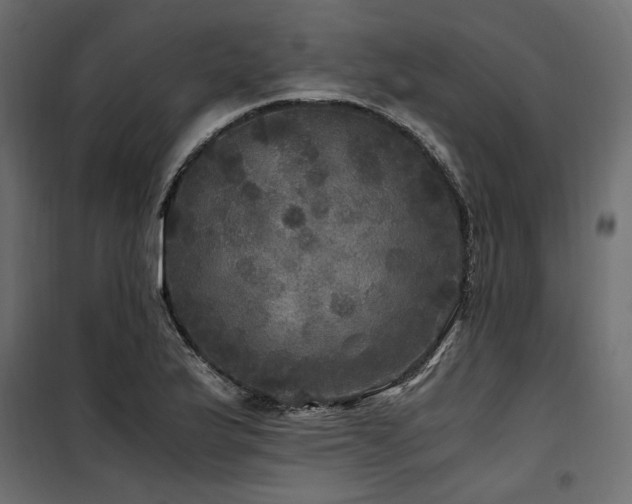 X0000100761175200806191200