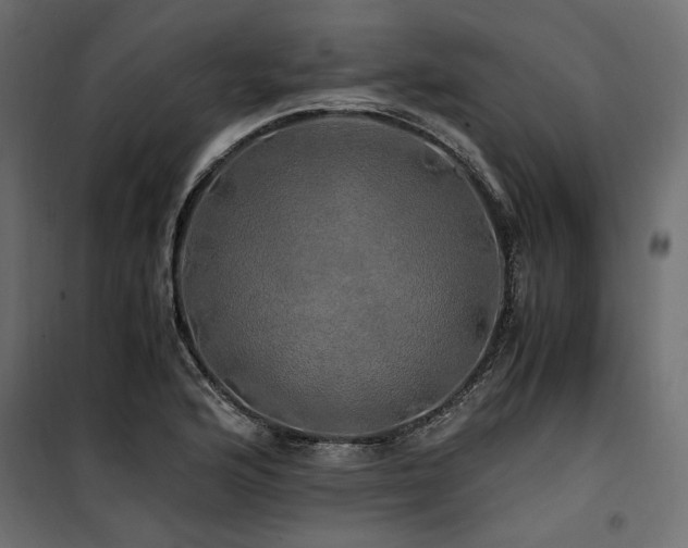 X0000100761176200806191200