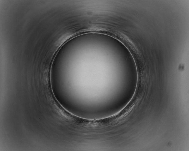 X0000100761177200806191200