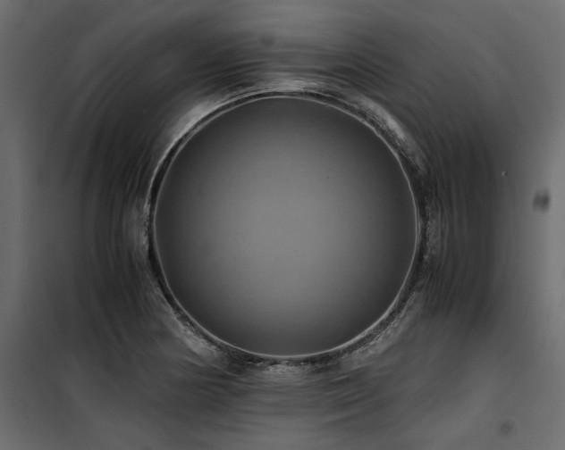 X0000100761178200806191200