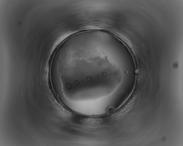 X0000100761179200806191200