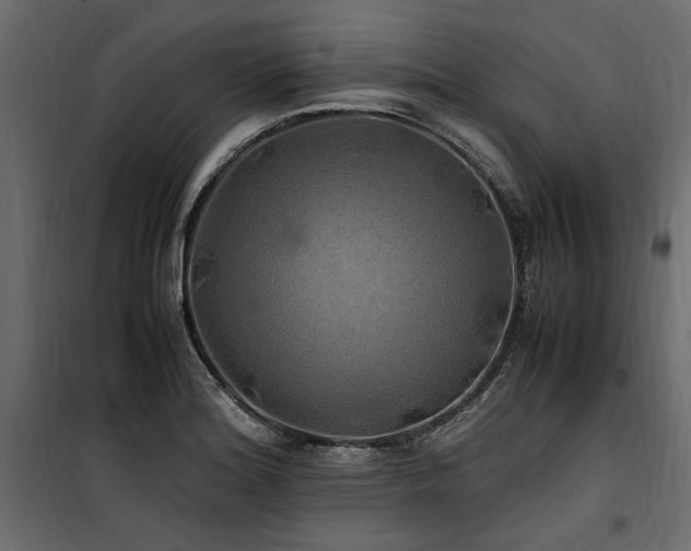 X0000100761180200806191200