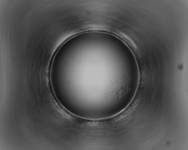 X0000100761182200806191200