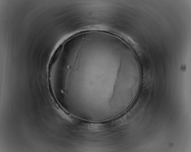 X0000100761184200806191200