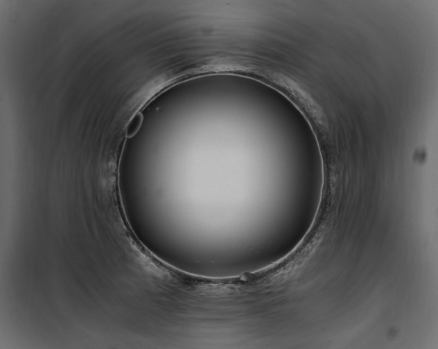 X0000100761185200806191200