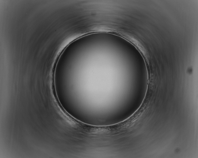 X0000100761187200806191200