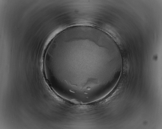 X0000100761188200806191200