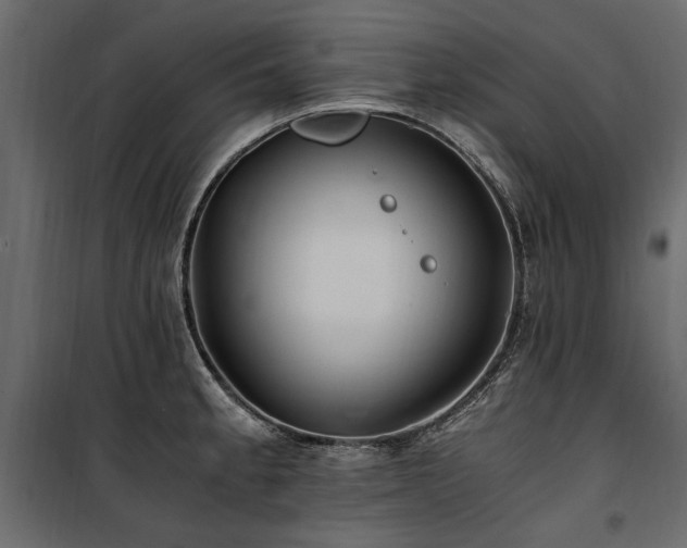 X0000100761189200806191200