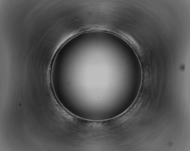 X0000100761190200806191200