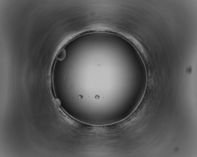 X0000100761191200806191200