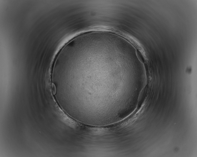 X0000100761192200806191200