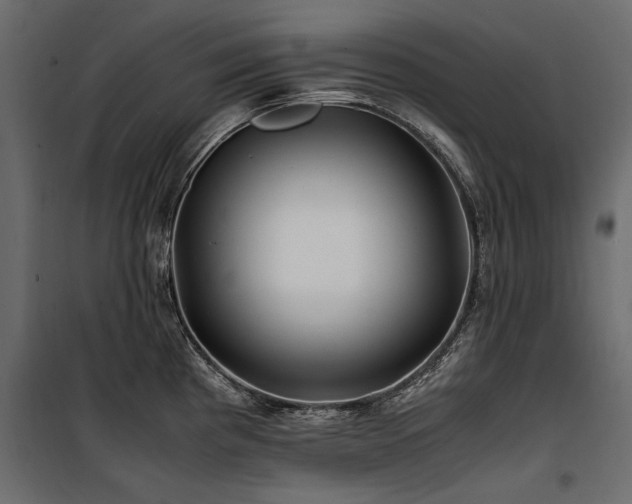 X0000100761193200806191200