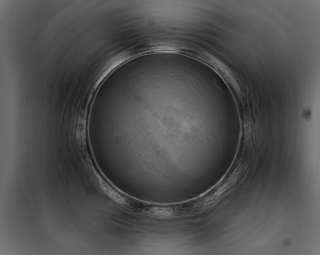 X0000100761194200806191200