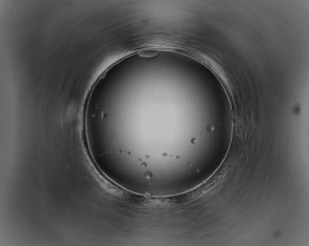 X0000100761195200806191200