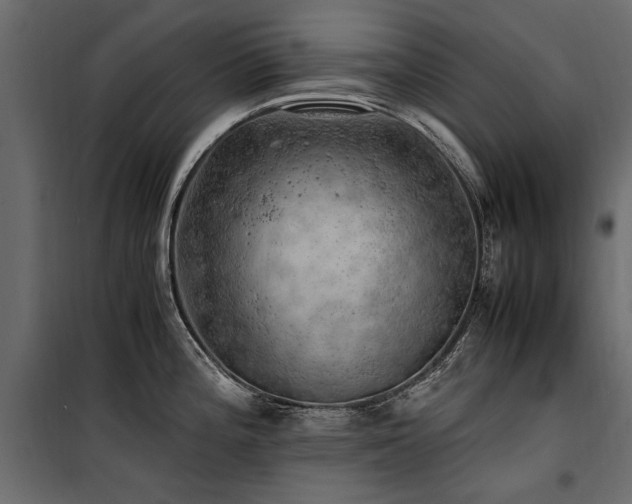 X0000100761196200806191200