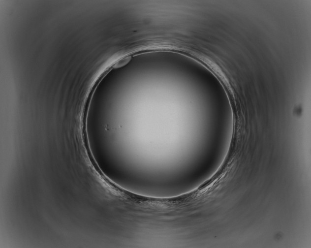 X0000100761197200806191200