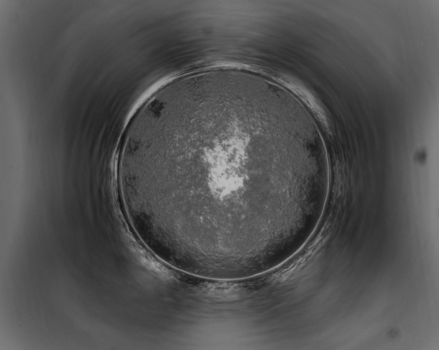 X0000100761198200806191200