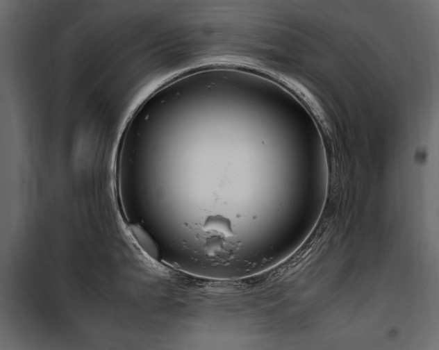 X0000100761199200806191200