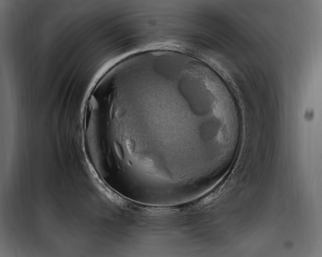 X0000100761200200806191200