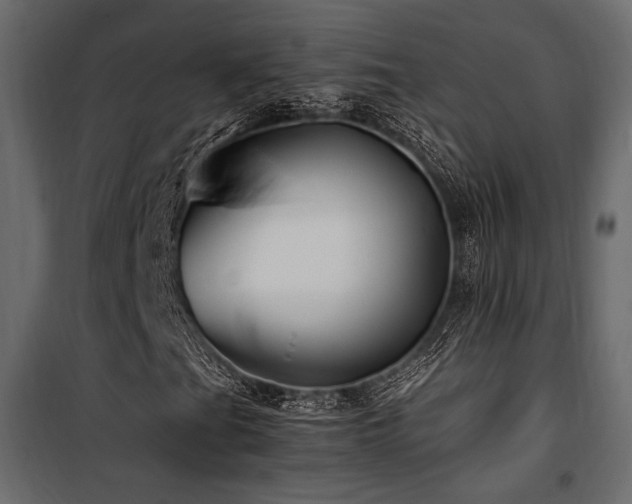 X0000100761201200806191159