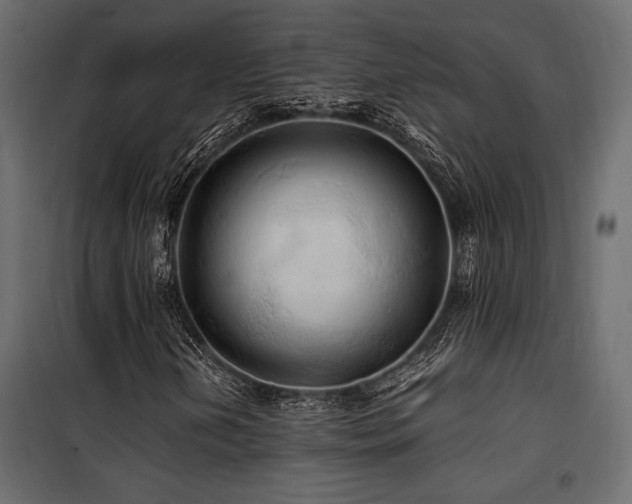 X0000100761202200806191159