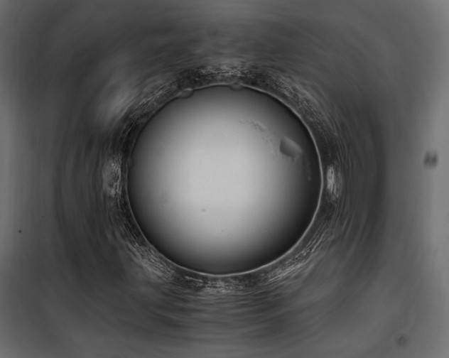 X0000100761203200806191159