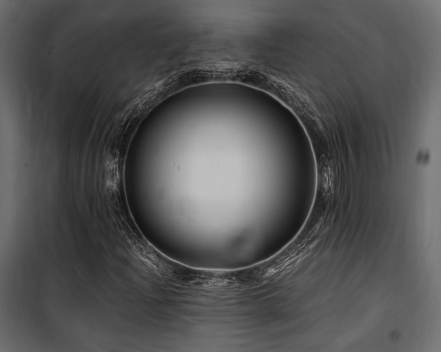 X0000100761204200806191159