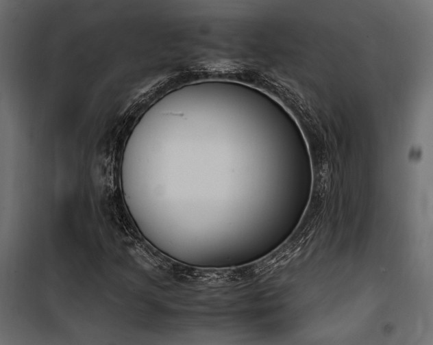 X0000100761205200806191159