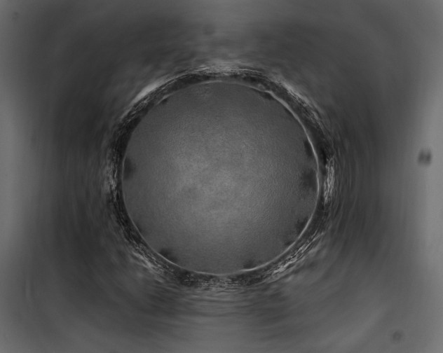 X0000100761206200806191159