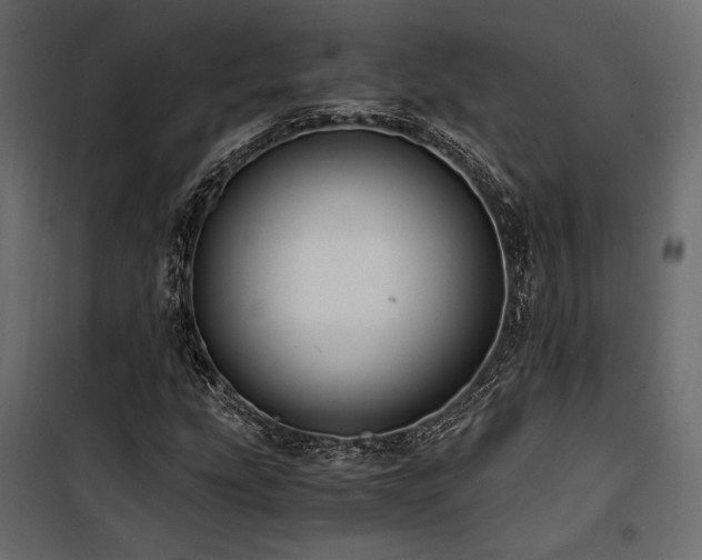 X0000100761207200806191159