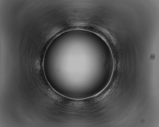 X0000100761209200806191159