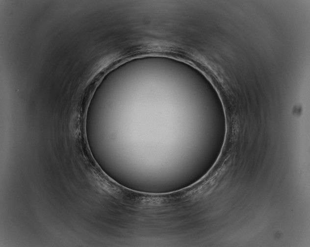 X0000100761211200806191159