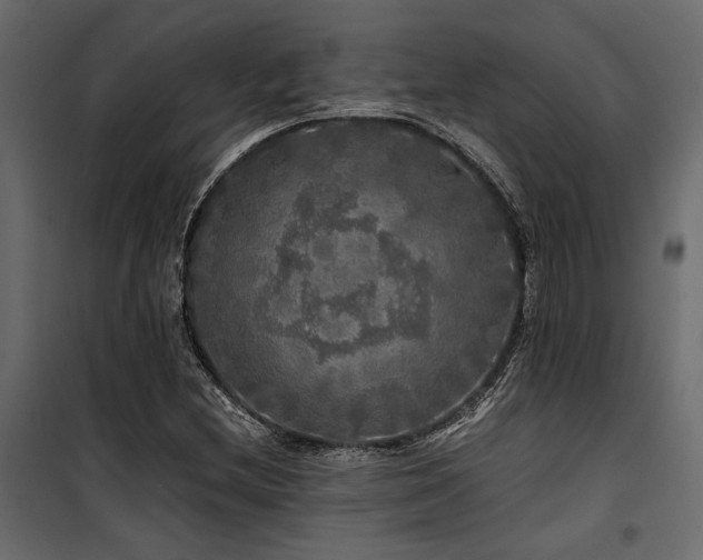 X0000100761212200806191159