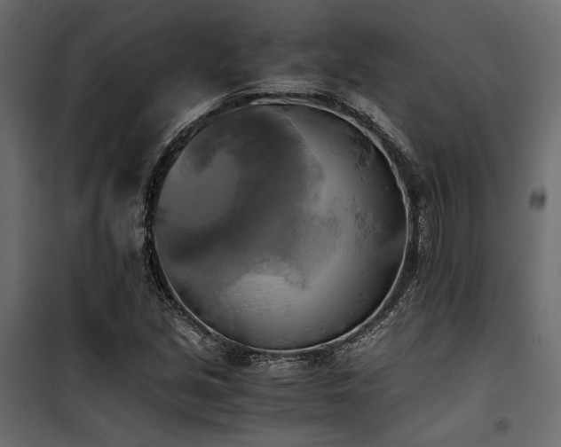 X0000100761213200806191159